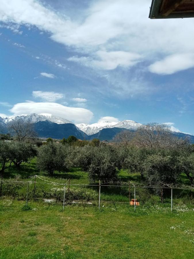 הוילה Litochoro House With A View מראה חיצוני תמונה